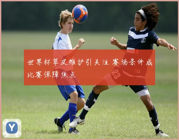 世界杯草皮维护引关注 赛场条件成比赛保障焦点