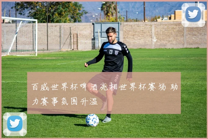 百威世界杯啤酒亮相世界杯赛场 助力赛事氛围升温