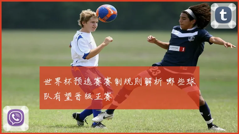 世界杯预选赛赛制规则解析 哪些球队有望晋级正赛