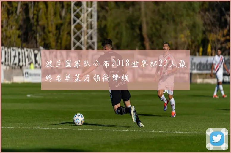 波兰国家队公布2018世界杯23人最终名单莱万领衔锋线